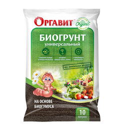 ������ ������ �������� �� ������ ��������� (10�.) �������   ����