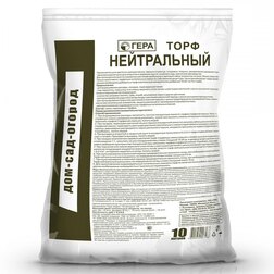 ������ ������ ���� ����������� 10� ����   ����