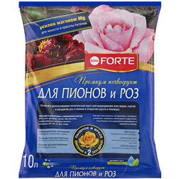 ������ ������ ���������� ��� ��� � ������ 