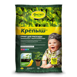 ������ ������ ����� ������ ��� ������� 10�, �����   ����