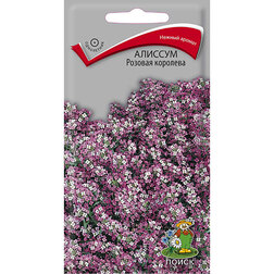 ������ ������ ������� ������� ��������   ����