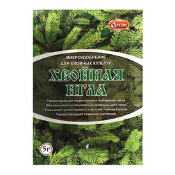 ������ ������ ������� ���� 5�   ����