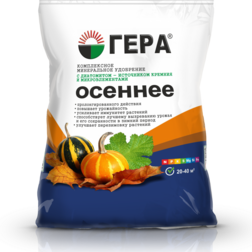 ������ ������ ������� � �������� 2,3�� ����   ����