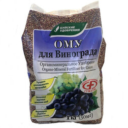 ������ ������ ��������� ��� ��������� 