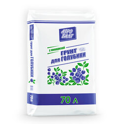 ������ ������ �������� ��������-� 