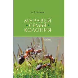 ������ ������ ������� - ����� - �������   ����