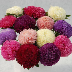 ������ ������ ����� ����� ���� (1��-3��)���������������� ������   ����