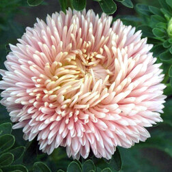 ������ ������ ����� ����� ����� (1��-3��) ���������������� ������   ����