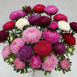 ������ ������ ����� ������� ����(1��-3��) ���������������� ������   ����