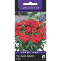 ������ ������ �������� ������ ���� (������ �����)   ����