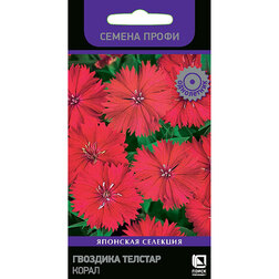 ������ ������ �������� ������� ����� (������ �����)   ����