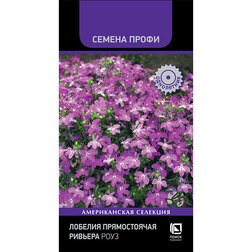 ������ ������ ������� ������������ ������� ���� (������ �����)   ����