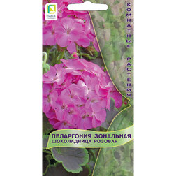 ������ ������ ���������� ��������� ����������� �������   ����