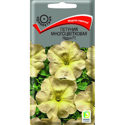 ������ ������ ������� �������������� ����� F1   ����