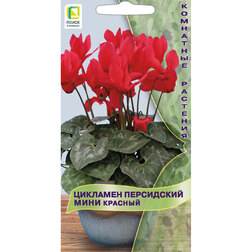 ������ ������ �������� ���������� �������   ����