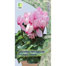 ������ ������ �������� ���������� ������� � �������   ����