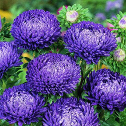 ������ ������ ����� ���� ����� ���� ��� (1��-3��) ���������������� ������   ����