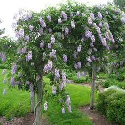 ������ ������ �������� ����������� ��� ���   ����