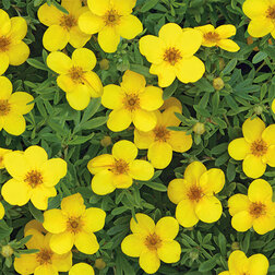 ������ ������ �������� ������������� ����� ������   ����