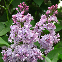 ������ ������ ������ ������������ ������ � ��������   ����