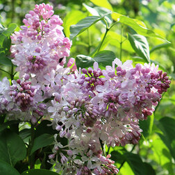 ������ ������ ������ ������������ �������   ����