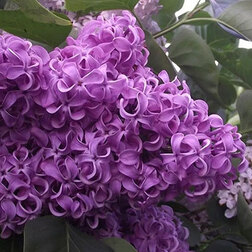 ������ ������ ������ ������������ �������� ��������   ����