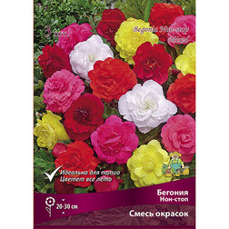 ������ ������ ������� ���-���� ����� �������   ����