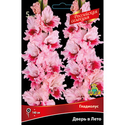 ������ ������ ��������� ����� � ����   ����