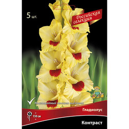 ������ ������ ��������� ��������   ����