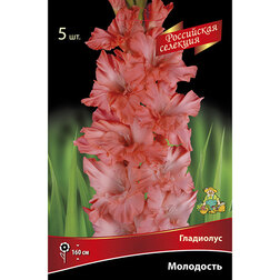 ������ ������ ��������� ���������   ����