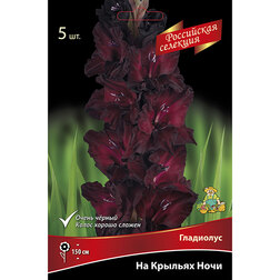 ������ ������ ��������� �� ������� ����   ����