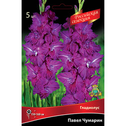 ������ ������ ��������� ����� �������   ����