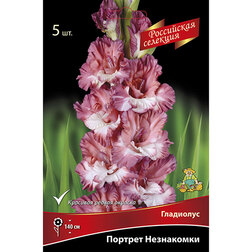 ������ ������ ��������� ������� ����������   ����