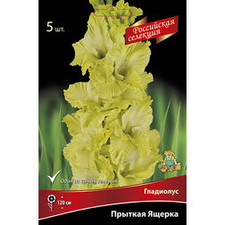 ������ ������ ��������� ������� ������   ����