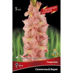 ������ ������ ��������� ��������� �����   ����