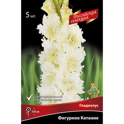 ������ ������ ��������� �������� �������   ����