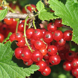 ������ ������ ��������� ������� ������ �������   ����