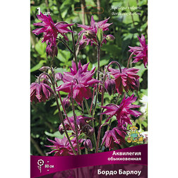 ������ ������ ��������� ������������ ����� ������   ����