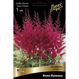 ������ ������ �������� ��������� ���� �������*   ����