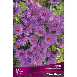 ������ ������ ����� �������������� ϸ�� ����   ����