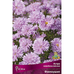 ������ ������ ����� ��������������� ���������   ����