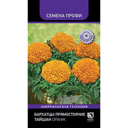 ������ ������ �������� ������������ ������ ����� (������ �����)   ����