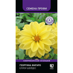 ������ ������ �������� ������ ����� ������ (������ �����)   ����