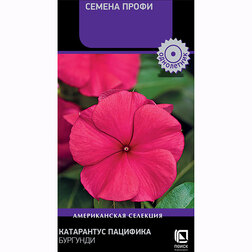 ������ ������ ���������� �������� �������� (������ �����)   ����