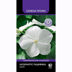 ������ ������ ���������� �������� ���� (������ �����)   ����