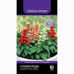 ������ ������ ������� ����� ��������� ���� (������ �����)   ����