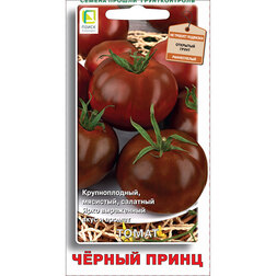 ������ ������ ����� ������ �����   ����