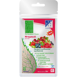 ������ ������ ��������� ���� ������� (12-5-27+�� � �����������) 30�   ����