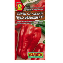 ������ ������ ����� ������� ���� ������� F1   ����