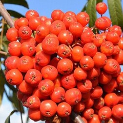 ������ ������ ������ �����   ����